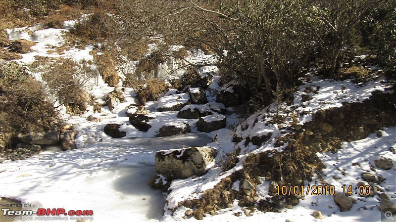 A Dinosaur and a Snail take the Silk Route to Sikkim and Bhutan!-snow2.jpg