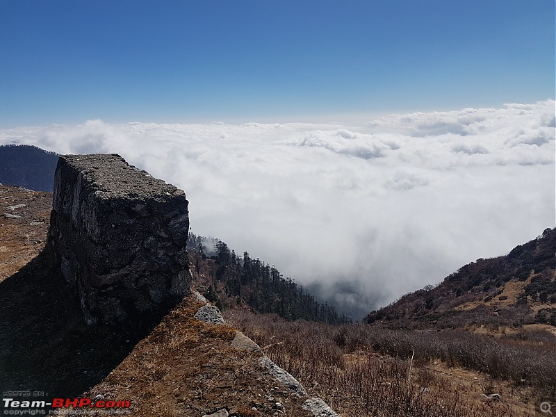 A Dinosaur and a Snail take the Silk Route to Sikkim and Bhutan!-d9-15.jpg