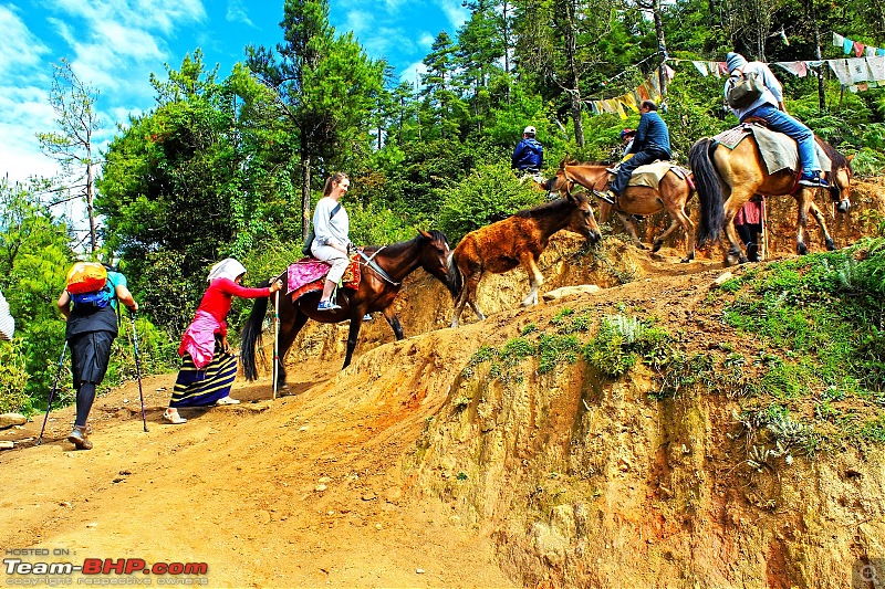 Chronicles of a Lone Biker | The Big One | Bhutan 2017 | Dominar 400 Adventures-img_3106.jpg