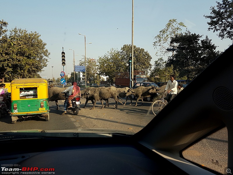 Cochin to Wagah in a Tata Hexa 4x4: An Epic 8,500 km road-trip-day-ahd-09.jpg