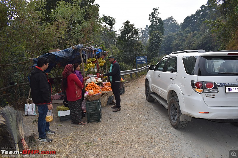 A Dinosaur and a Snail take the Silk Route to Sikkim and Bhutan!-fruits-1.jpg