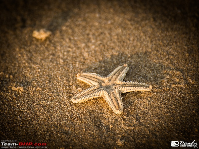 New Year Ride covering Karwar, Kumta, Gokarna, Yana & Honnavar!-dsc_2734.jpg