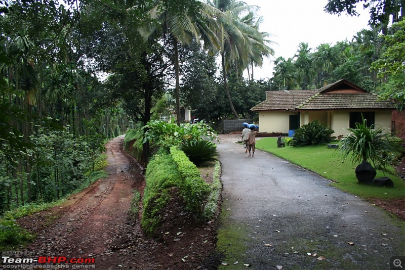 Vihangama -- Theerthalli --Agumbe--Udupi--Charmadi-img_7585-desktop-resolution.jpg