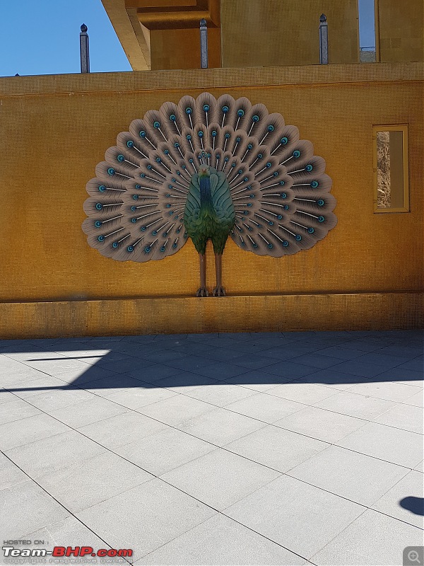 A Dinosaur and a Snail take the Silk Route to Sikkim and Bhutan!-peacock.jpg