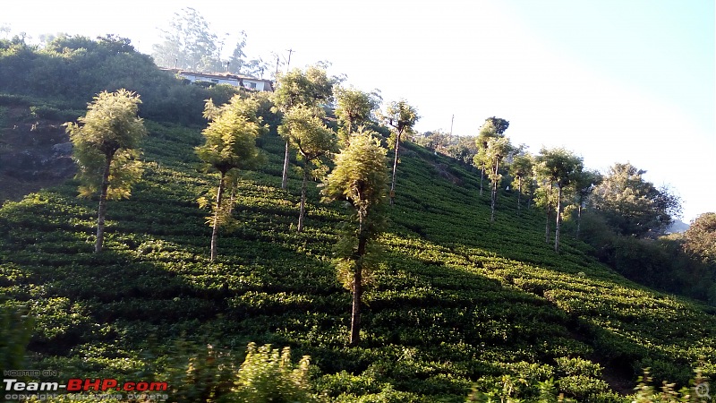 Ooty again: A short one day trip-v-1.jpg