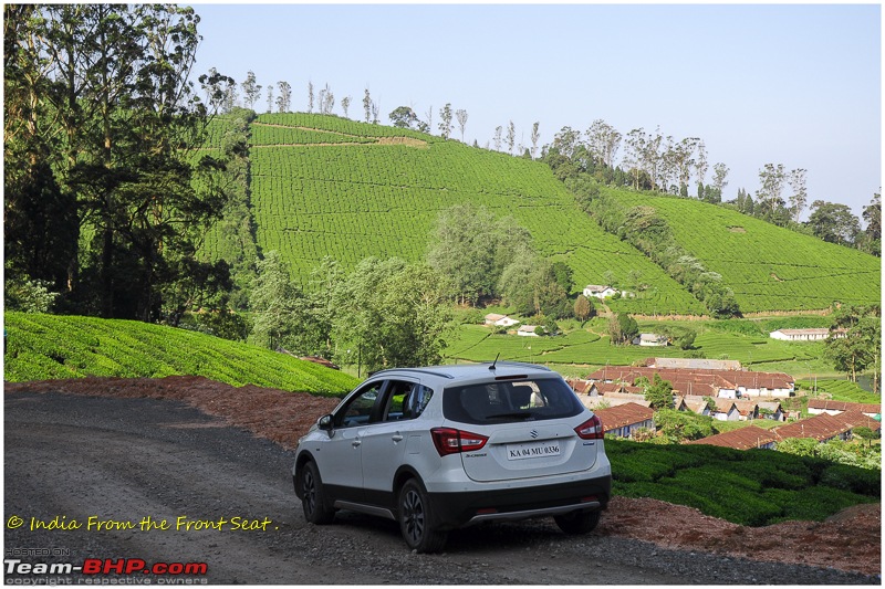 S-Cross'd : Meghamalai (via Yercaud)-dsc_4991editedit.jpg