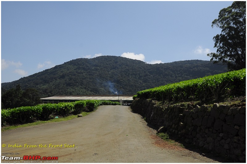 S-Cross'd : Meghamalai (via Yercaud)-dsc_5138edit.jpg