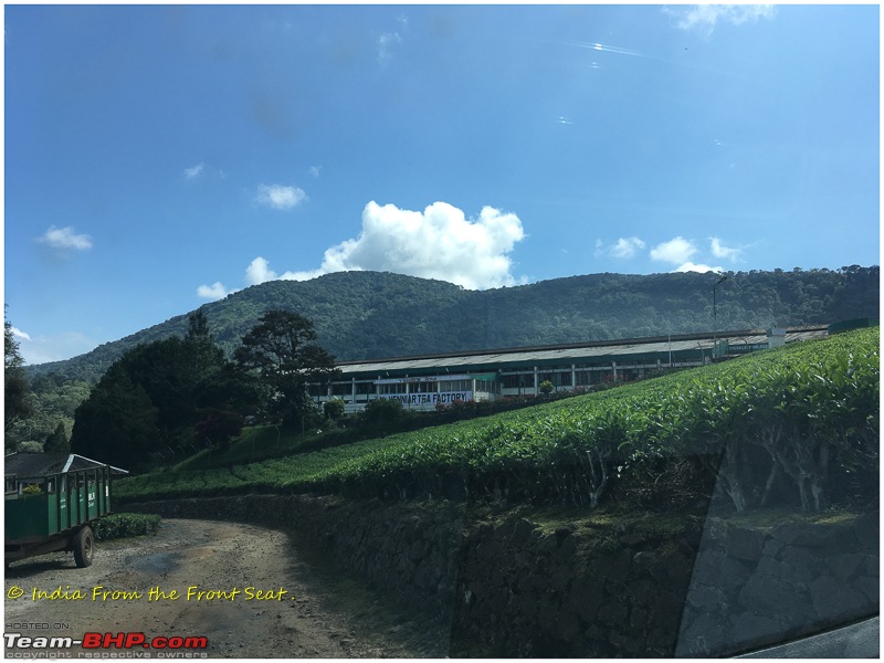 S-Cross'd : Meghamalai (via Yercaud)-img_1968edit.jpg