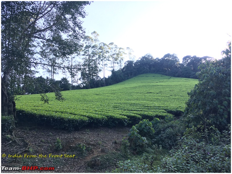 S-Cross'd : Meghamalai (via Yercaud)-img_1986edit.jpg