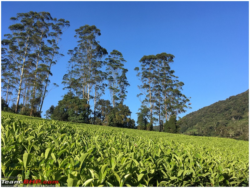 S-Cross'd : Meghamalai (via Yercaud)-img_1988edit.jpg