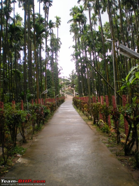 Vihangama -- Theerthalli --Agumbe--Udupi--Charmadi-theerthalli2009-392-desktop-resolution.jpg