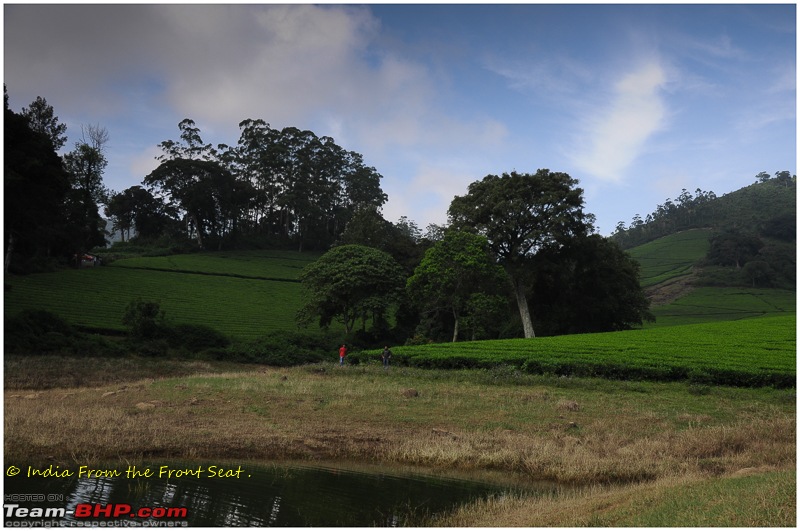 S-Cross'd : Meghamalai (via Yercaud)-dsc_5303edit.jpg