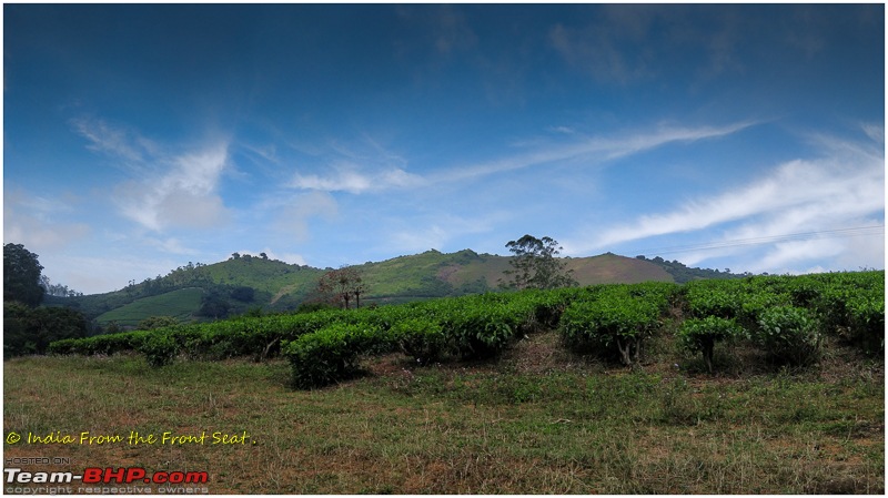 S-Cross'd : Meghamalai (via Yercaud)-img_20171119_091017panoedit.jpg