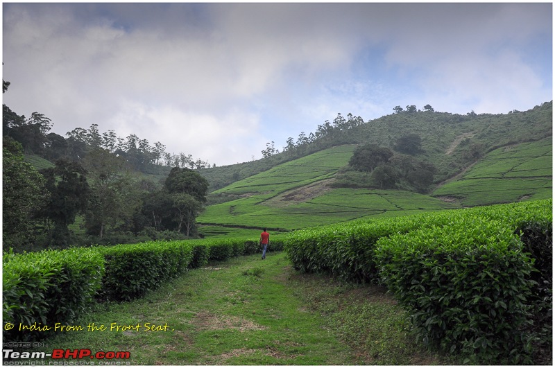 S-Cross'd : Meghamalai (via Yercaud)-dsc_5360edit.jpg