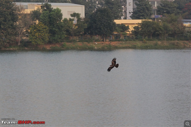 Photologue: The Lakes of Bangalore-img_9795.jpg