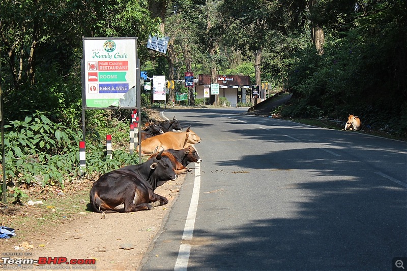 Bajaj CT100B: 600 km ride to Meghamalai & beyond!-img_1186.jpg