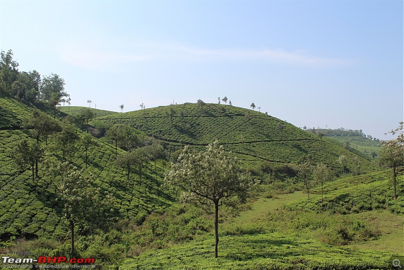 Bajaj CT100B: 600 km ride to Meghamalai & beyond!-img_1188.jpg