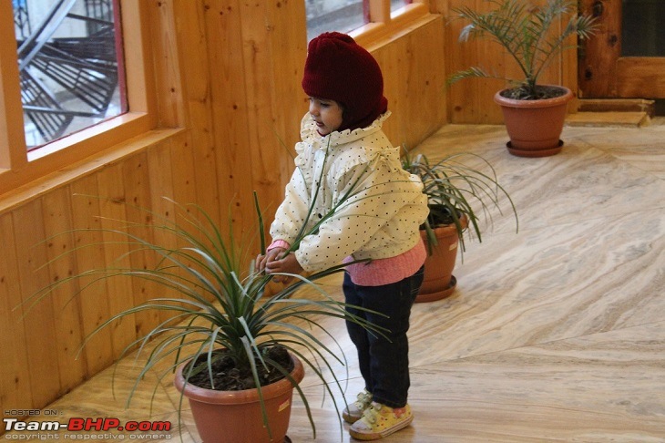 A 2.5 year old's first encounter with the Himalayas-hr.jpg