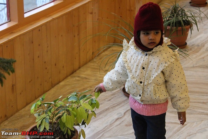 A 2.5 year old's first encounter with the Himalayas-hr1.jpg