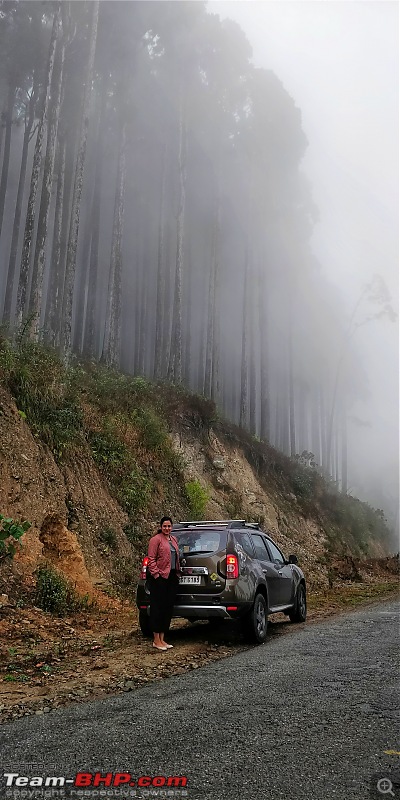 A relaxing getaway to the Himalayas in a Duster AWD-meg-rishop.jpeg