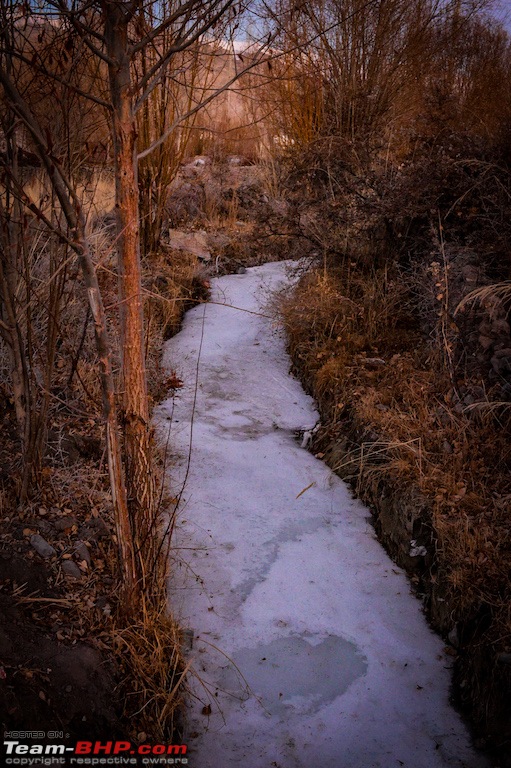 Photologue: Frozen Leh & Ladakh-img_5096.jpg