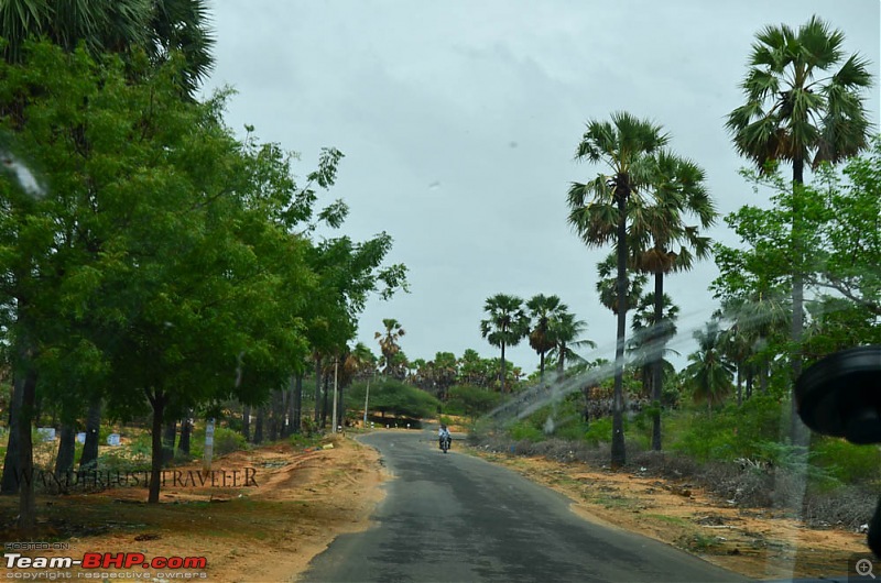 Wanderlust Traveler: Bangalore - Kanyakumari - Rameswaram - Madurai-suh_1264.jpg
