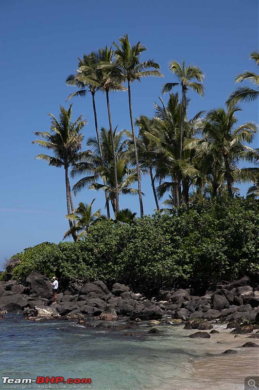 Hawaii: Aloha to beaches, valleys, mountains, volcanoes, snorkeling & whales-img_03741.jpg