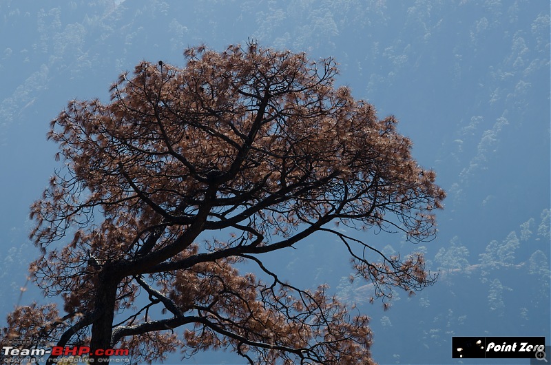 Snow-laden Himachal and Heavenly Uttarakhand-tkd_5747.jpg