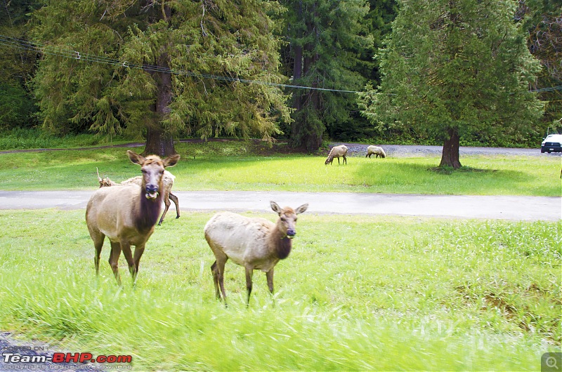 ZNMD Trip  San Francisco to Seattle with my best buddy!-dsc_0035.jpg