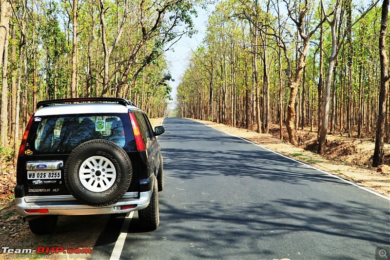 In a Medieval Ford Endeavour to Dalma, Dimna & Tatanagar on Poila Baisakh-img_9330.jpg