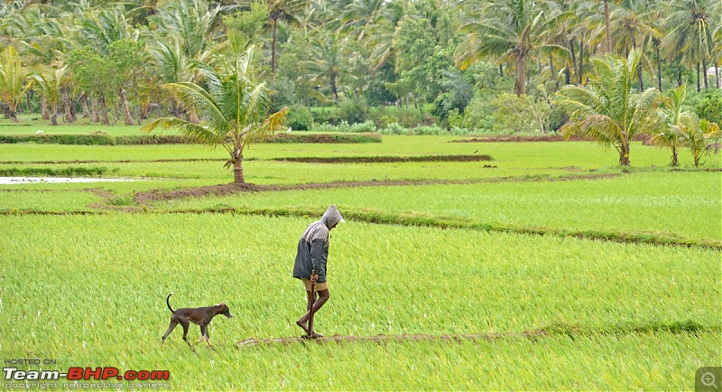 Soul of a Solivagant: Rain, roads, sky, fields & people down South India-dsc_0456.jpg