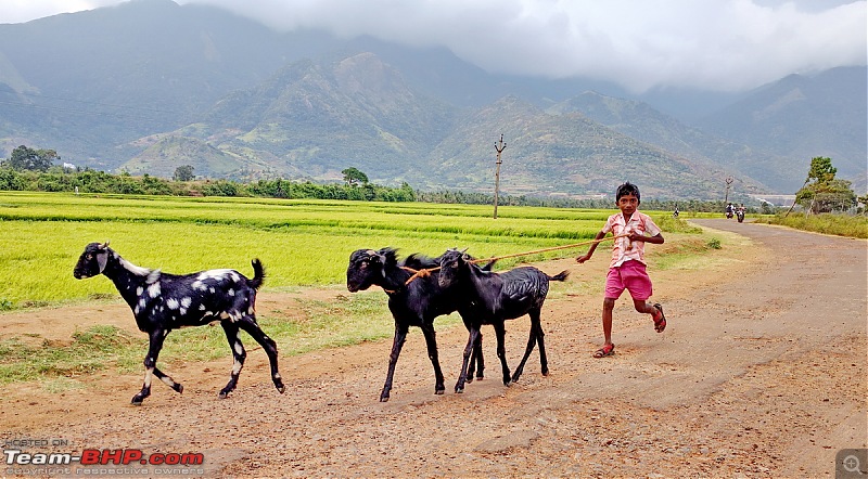 Soul of a Solivagant: Rain, roads, sky, fields & people down South India-img_20160910_171338.jpg