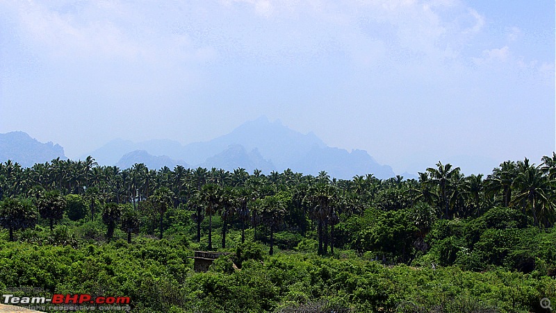 Darkmobile goes birding - A drive to the Koonthankulam Bird Sanctuary-image00008.jpg