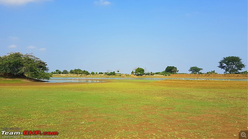 Darkmobile goes birding - A drive to the Koonthankulam Bird Sanctuary-image00001.jpg