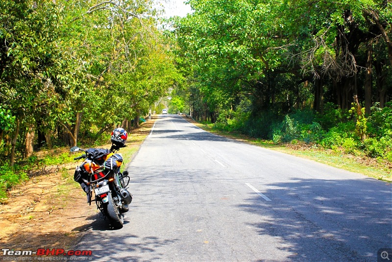 To the last village of India - Mana, Uttarakhand. Chronicles of a Lone Biker-img_4404.jpg