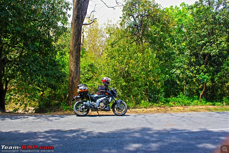 To the last village of India - Mana, Uttarakhand. Chronicles of a Lone Biker-img_4405.jpg