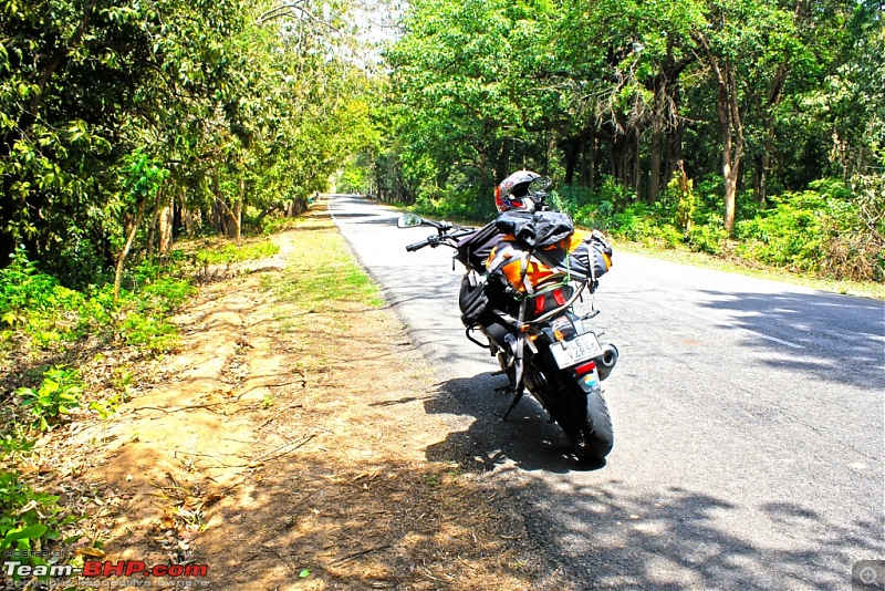 To the last village of India - Mana, Uttarakhand. Chronicles of a Lone Biker-img_4407.jpg