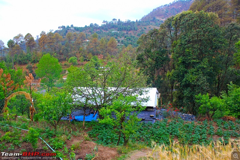 To the last village of India - Mana, Uttarakhand. Chronicles of a Lone Biker-img_4427.jpg