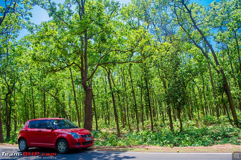 West Bengal - A treasure for tourists-_dsc6156.jpg