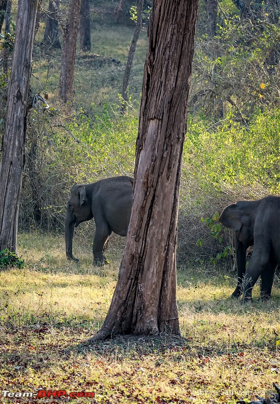 Kabini: A Trilogy of Hits and Misses-dsc_6381edit.jpg