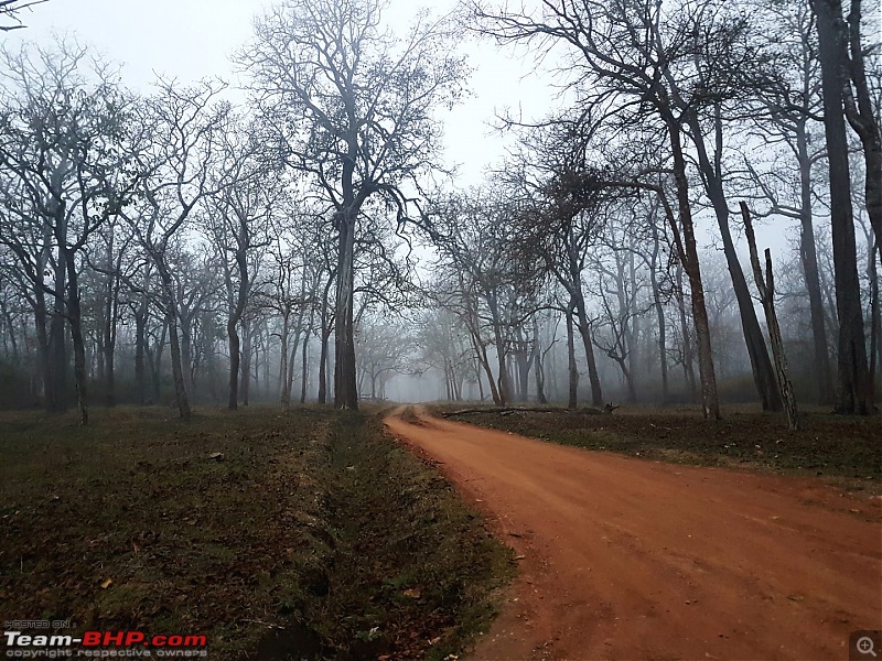 Kabini: A Trilogy of Hits and Misses-20180217_100456-large.jpg