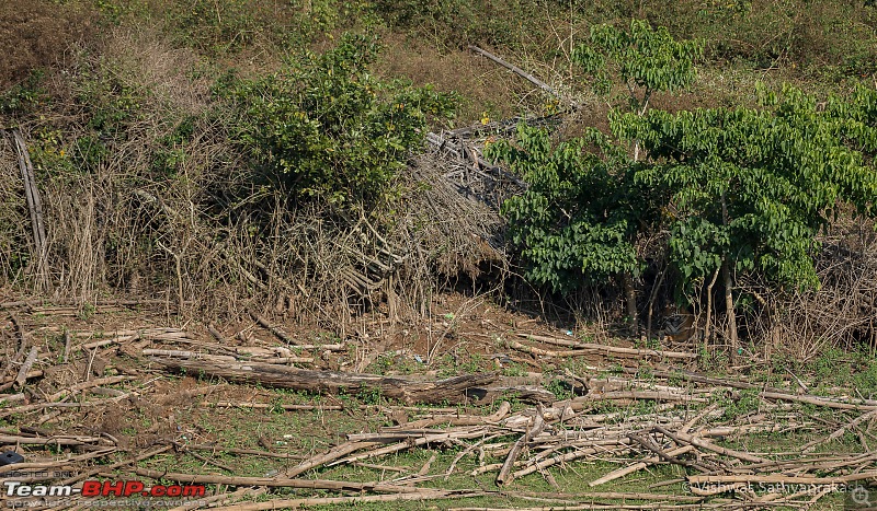 Kabini: A Trilogy of Hits and Misses-dsc_6605edit.jpg