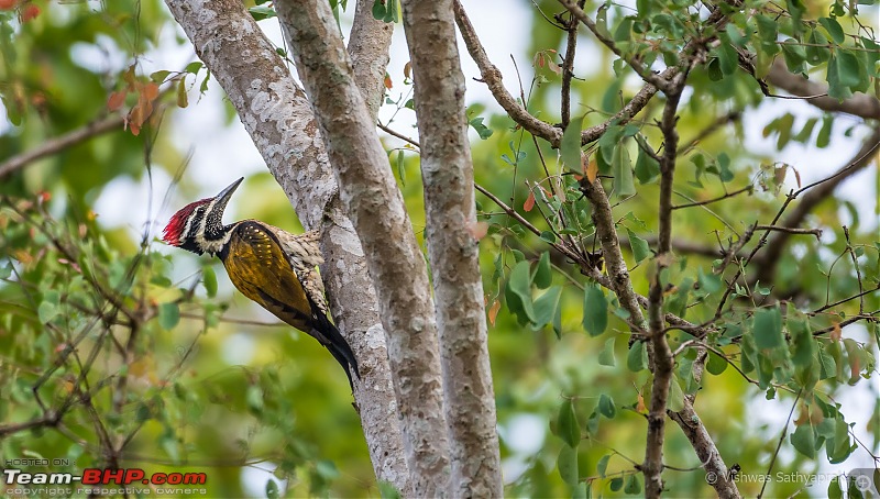 Kabini: A Trilogy of Hits and Misses-dsc_8039.jpg