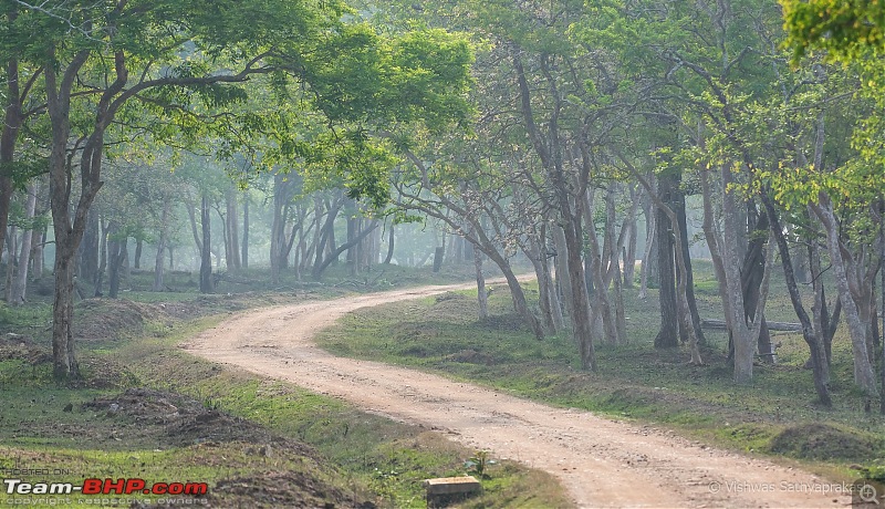 Kabini: A Trilogy of Hits and Misses-dsc_8066.jpg