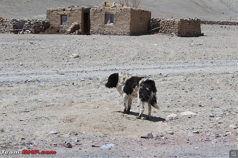 Ladakh: Four Idiots & One XUV500-406.jpg