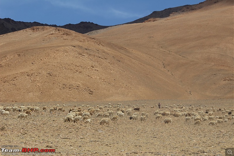 Ladakh: Four Idiots & One XUV500-501.jpg