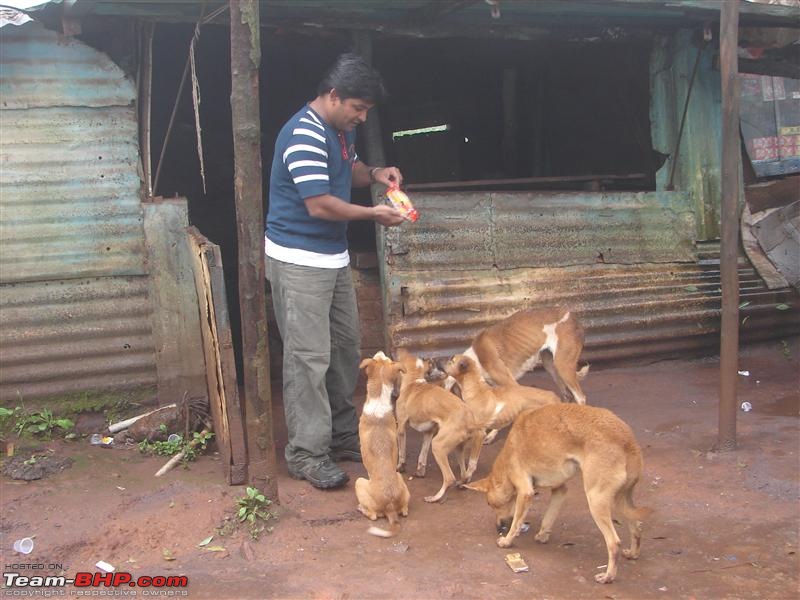 Chikmagalur-Kemmungundi in Monsoon-chikmagalur-069.jpg