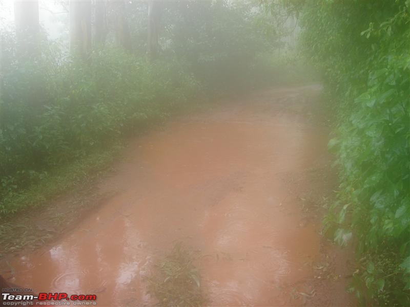 Chikmagalur-Kemmungundi in Monsoon-chikmagalur-128.jpg