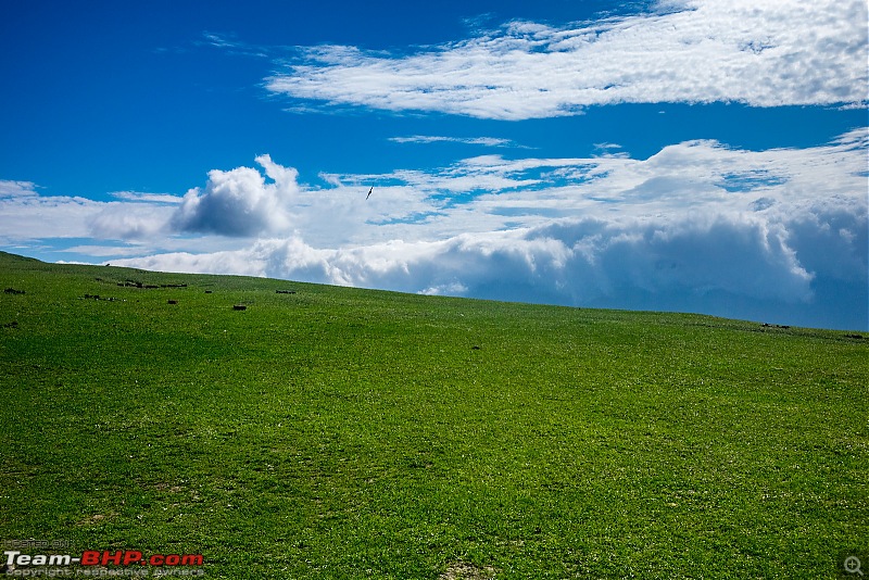 Altitude - The PhotoLog. Ladakh, the wilder one-20160823dsc00039x3.jpg