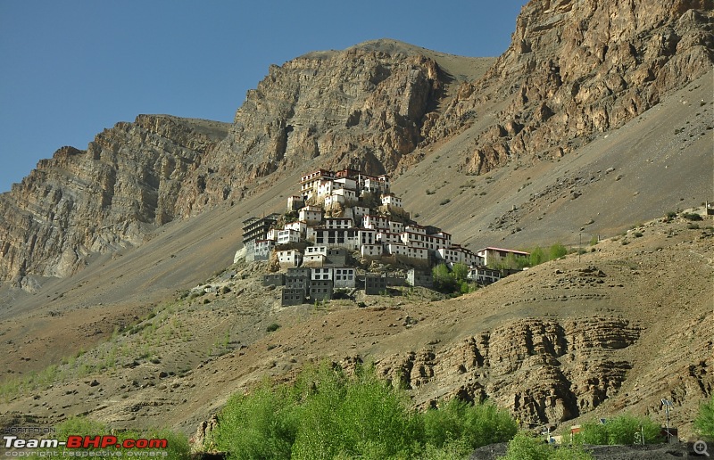 Alaskan bear in Snow leopard territory - The Kodiaq expedition to Spiti-s_dsc_0860.jpg